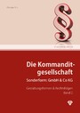 Die Kommanditgesellschaft Band 2 - Sonderform: GmbH & Co KG